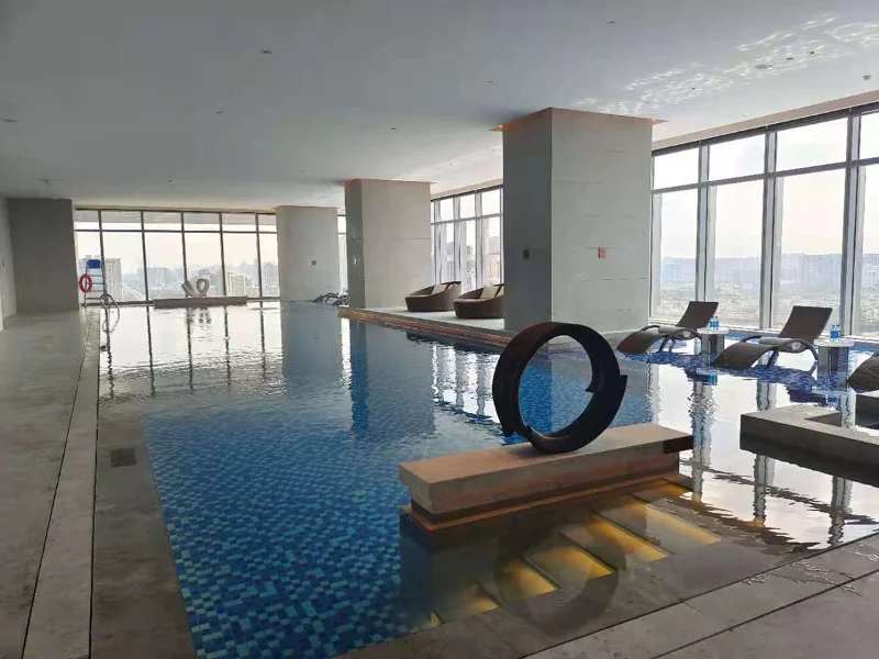 Analisi tecnica e guida alla selezione dei fornitori per pompe di calore per deumidificazione di piscine coperte