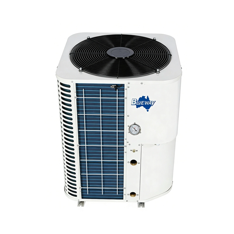 refrigeratore d'acqua industriale raffreddato ad aria